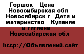 Горшок › Цена ­ 200 - Новосибирская обл., Новосибирск г. Дети и материнство » Купание и гигиена   . Новосибирская обл.